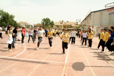Deporte interno